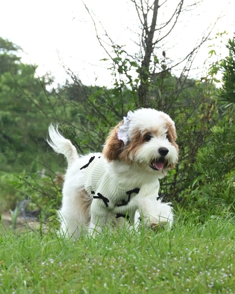 Black Bow - 3D Motif Pet Sweater - Merryreindeer