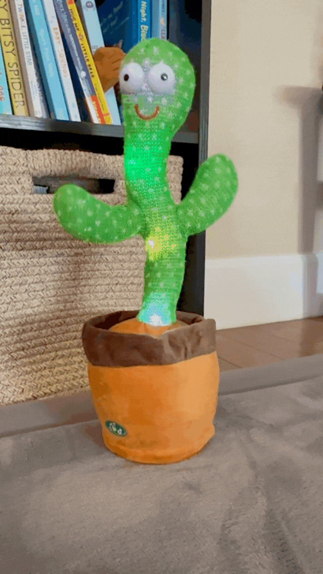 The Original Dancing Cactus