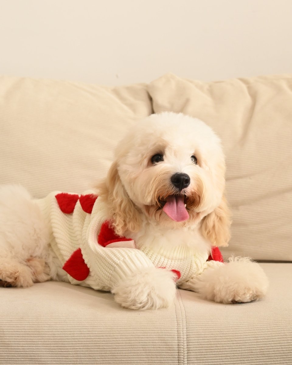 Cream Heart - 3D Motif Pet Sweater - Merryreindeer