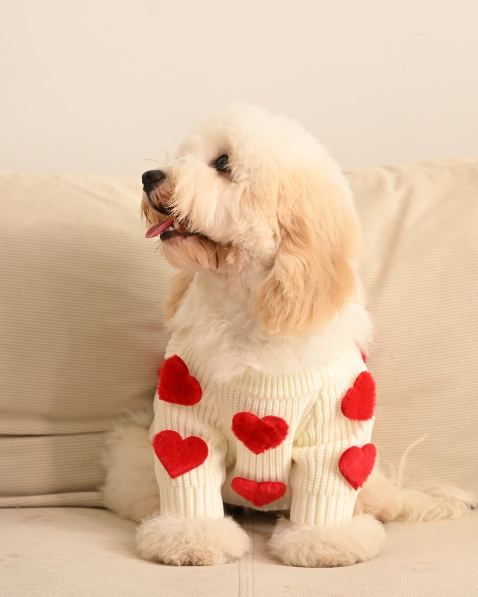 Cream Heart - 3D Motif Pet Sweater - Merryreindeer