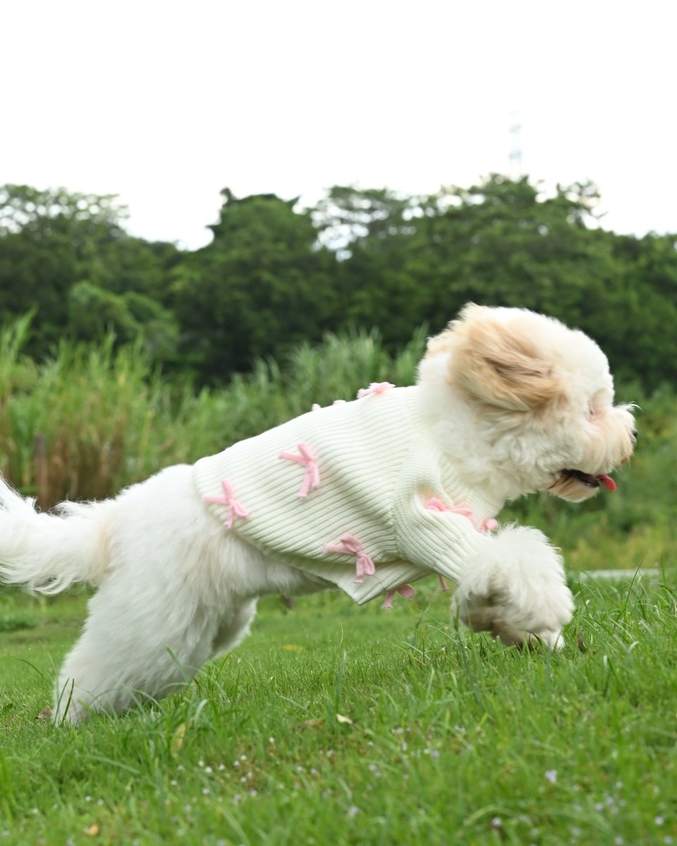 Pink Bow - 3D Motif Pet Sweater - Merryreindeer