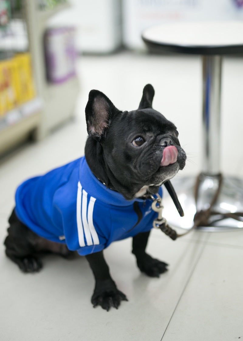 Frenchie Stripe Athletic Pet Pullover｜ Pet Sweatshirt
