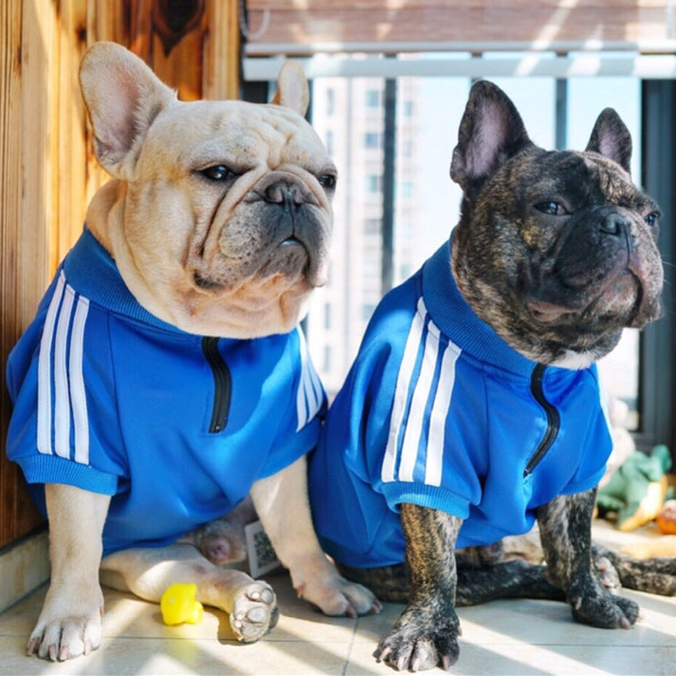 Frenchie Stripe Athletic Dog Pullover Cloth｜ Pet Sweatshirt