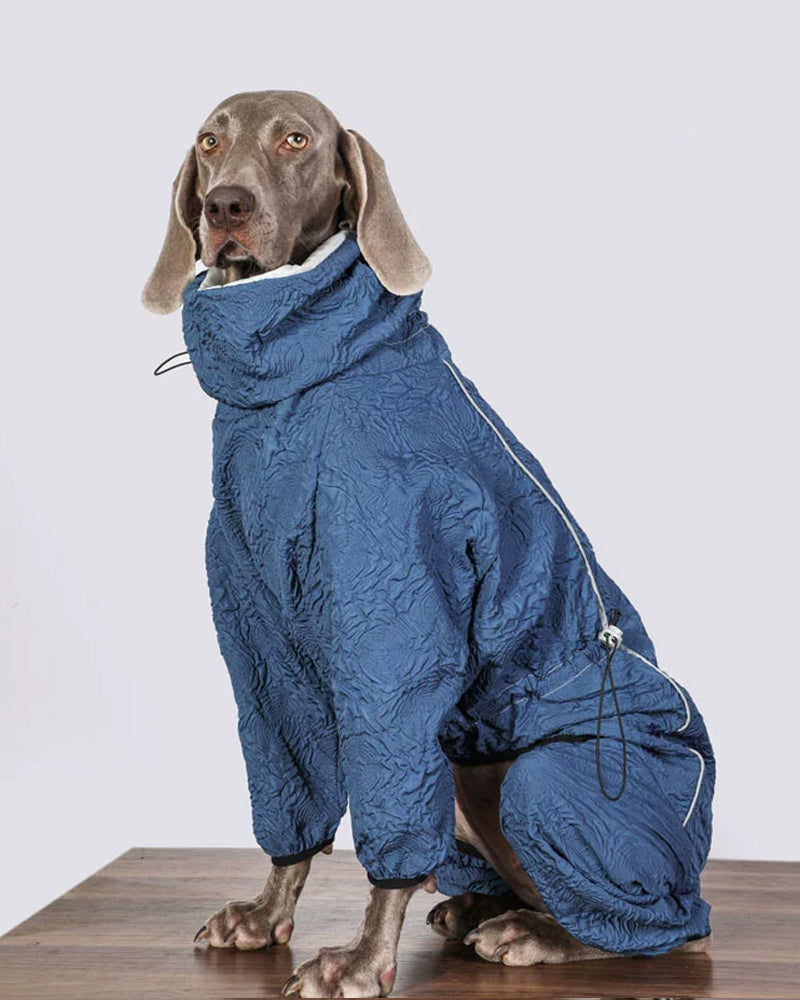 Cerulean Chic-Dog Thickened Blue Clothes