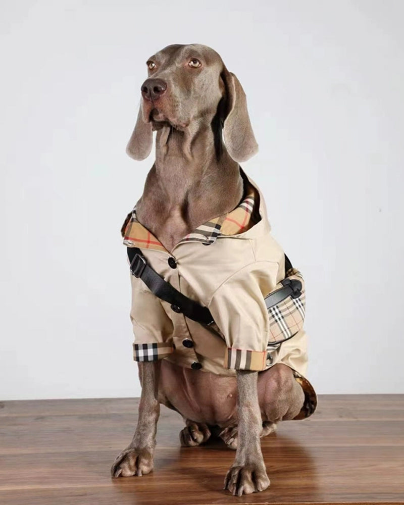 Tail Trends-Dog Windproof Clothes