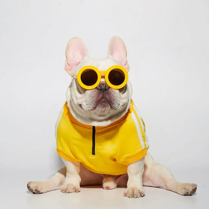 Frenchie Stripe Athletic Dog Pullover Cloth｜ Pet Sweatshirt