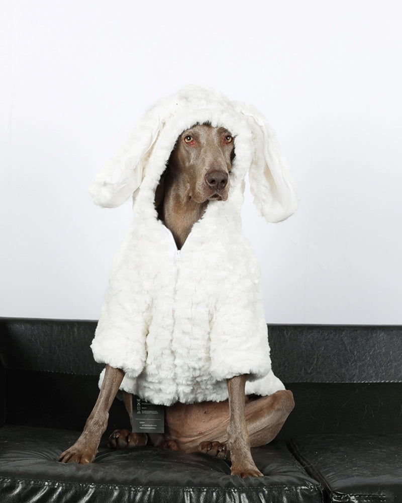Pet Lounge-Dog Classic Clothes