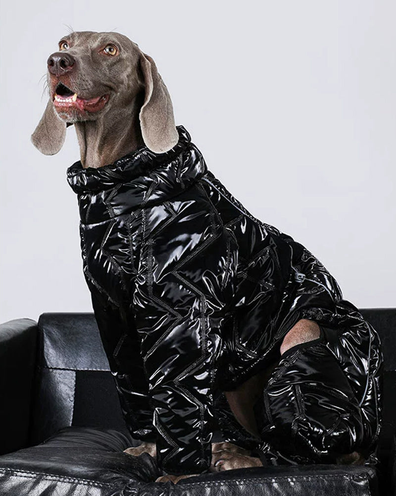 Canine Charm-Dog Premium Warm Coat