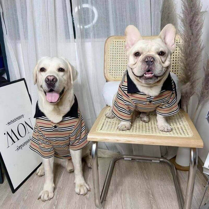French Bulldog Stripe Polo Dog Cloth Shirt