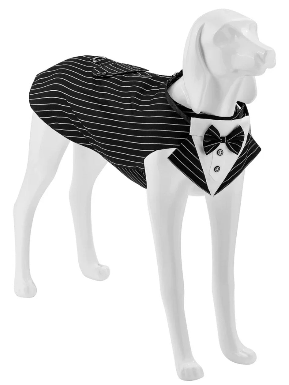 Wedding Dogs Tuxedo Set
