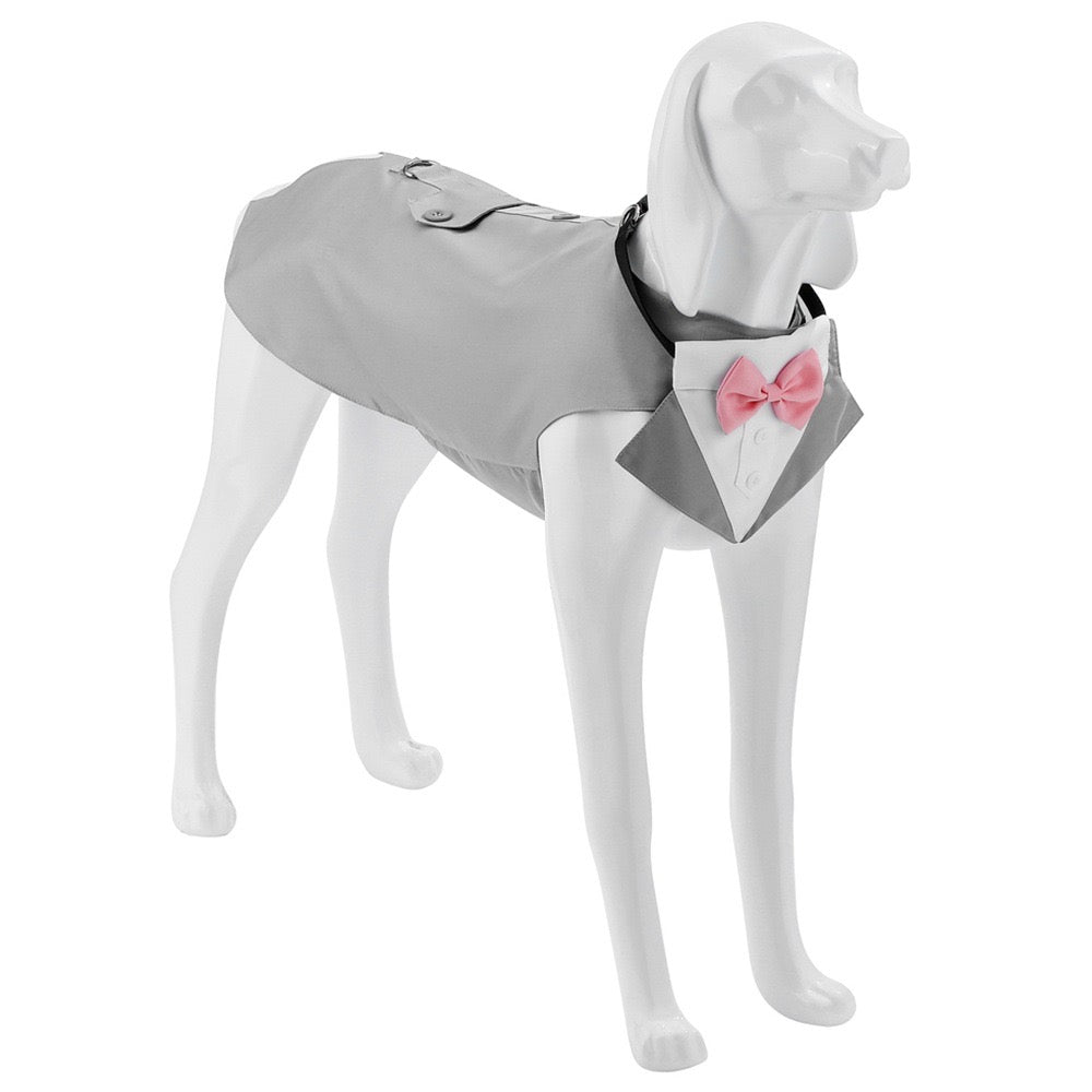 Wedding Dogs Tuxedo Set