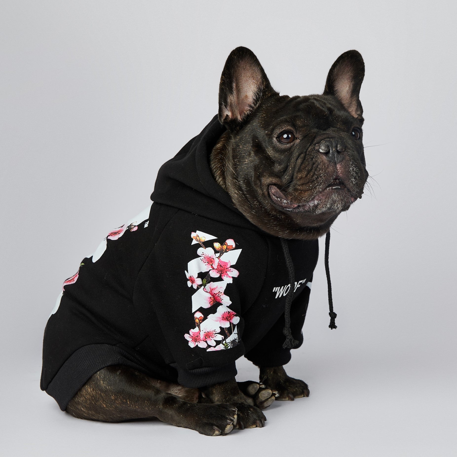 French Bulldog Woof Sakura Hoodie Dog Cloth