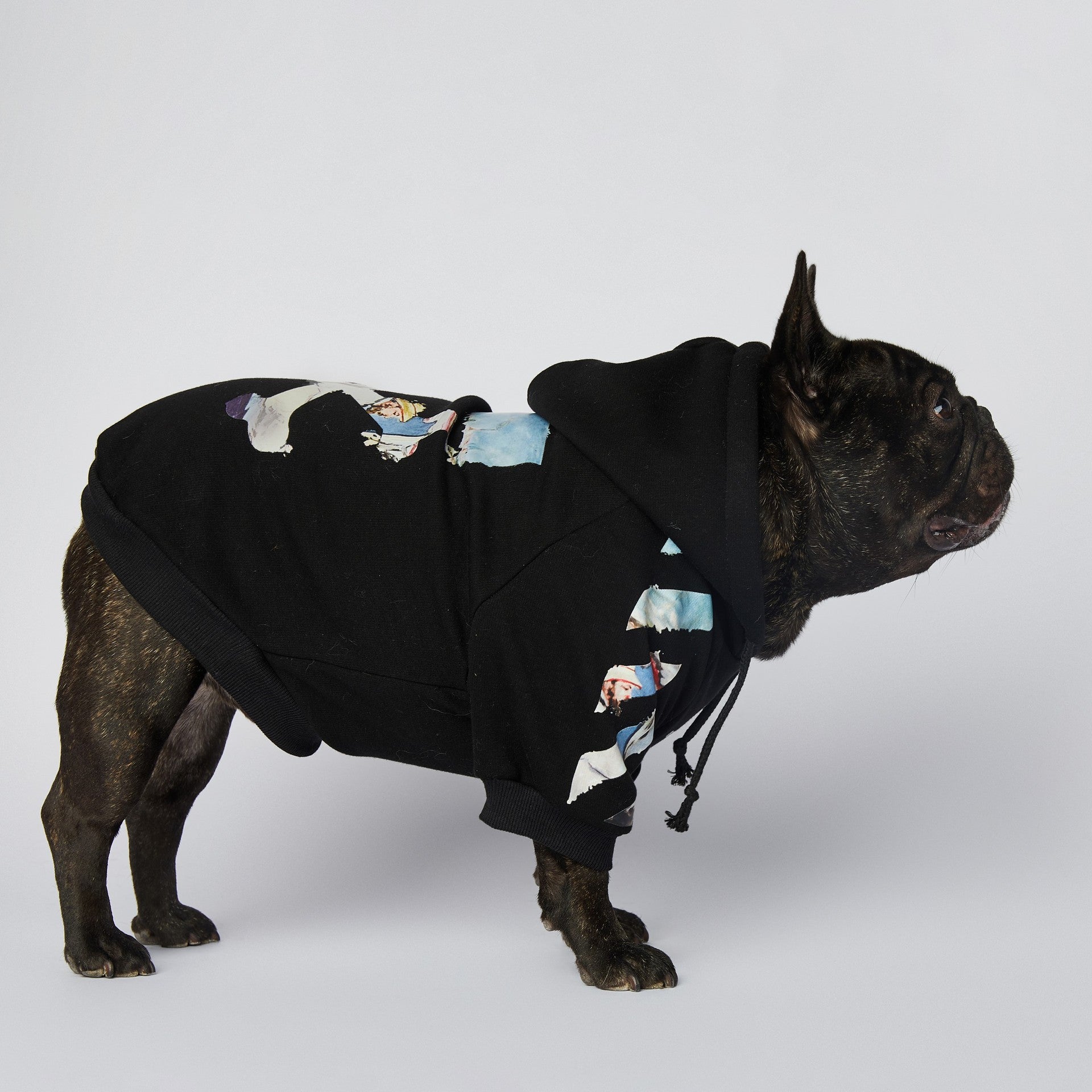 French Bulldog Woof Hoodie ｜Designer Dog Hoodies Cloth