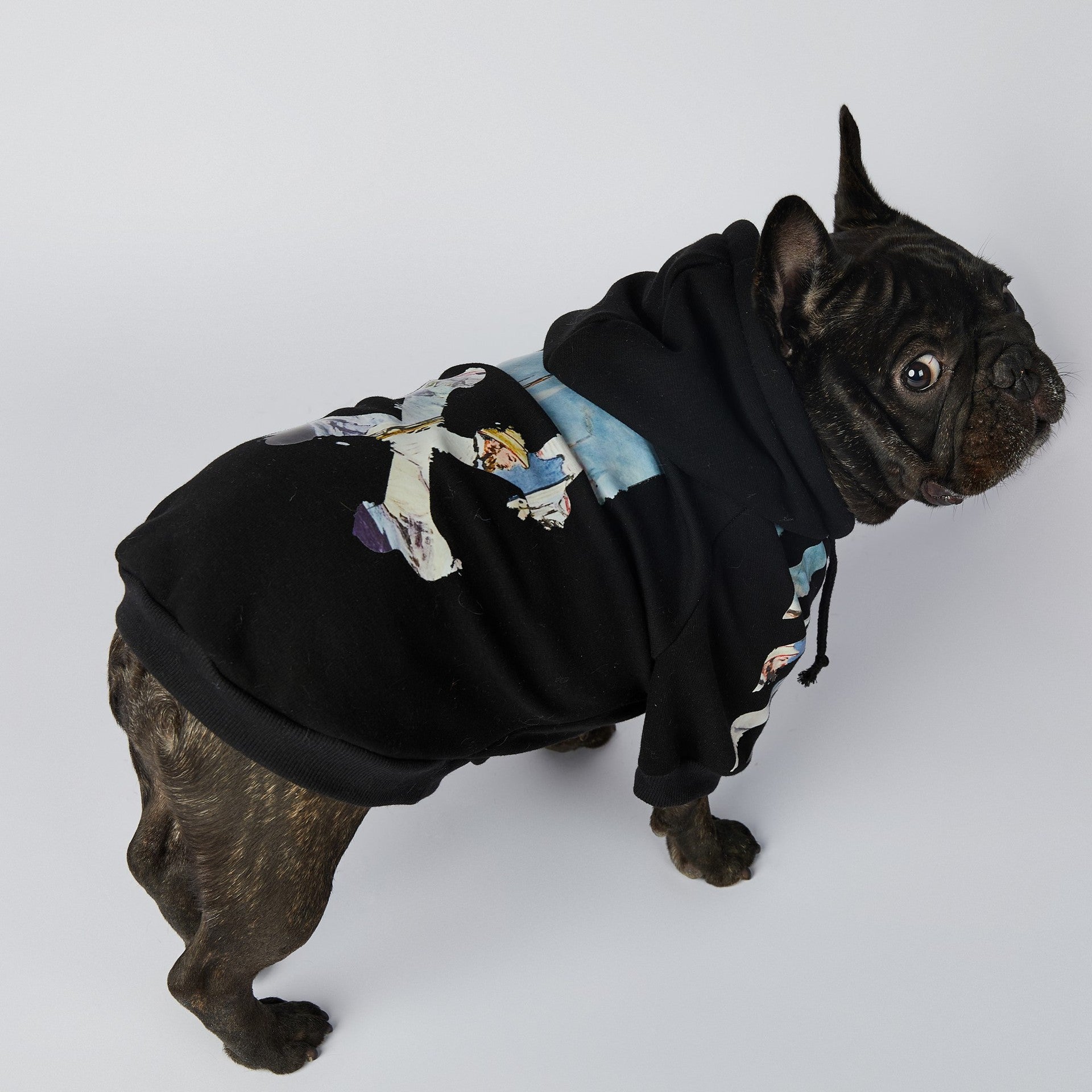 French Bulldog Woof Hoodie ｜Designer Dog Hoodies Cloth