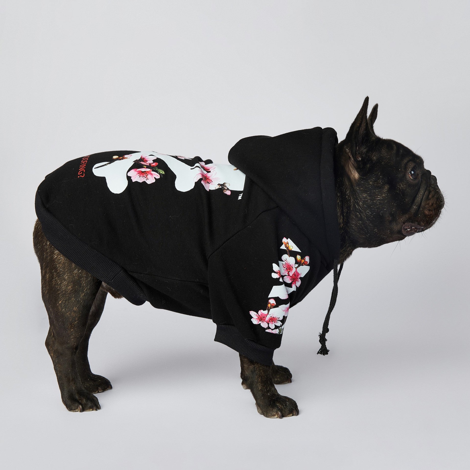 French Bulldog Woof Sakura Hoodie Dog Cloth