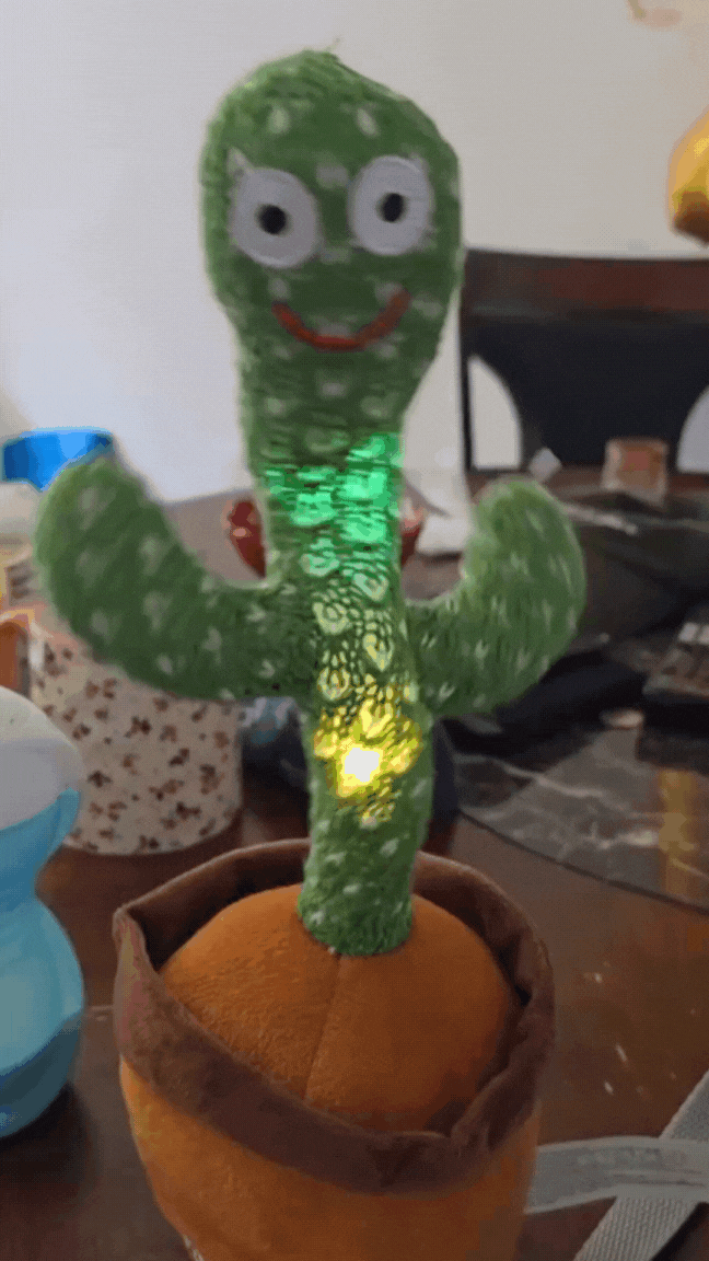 The Original Dancing Cactus