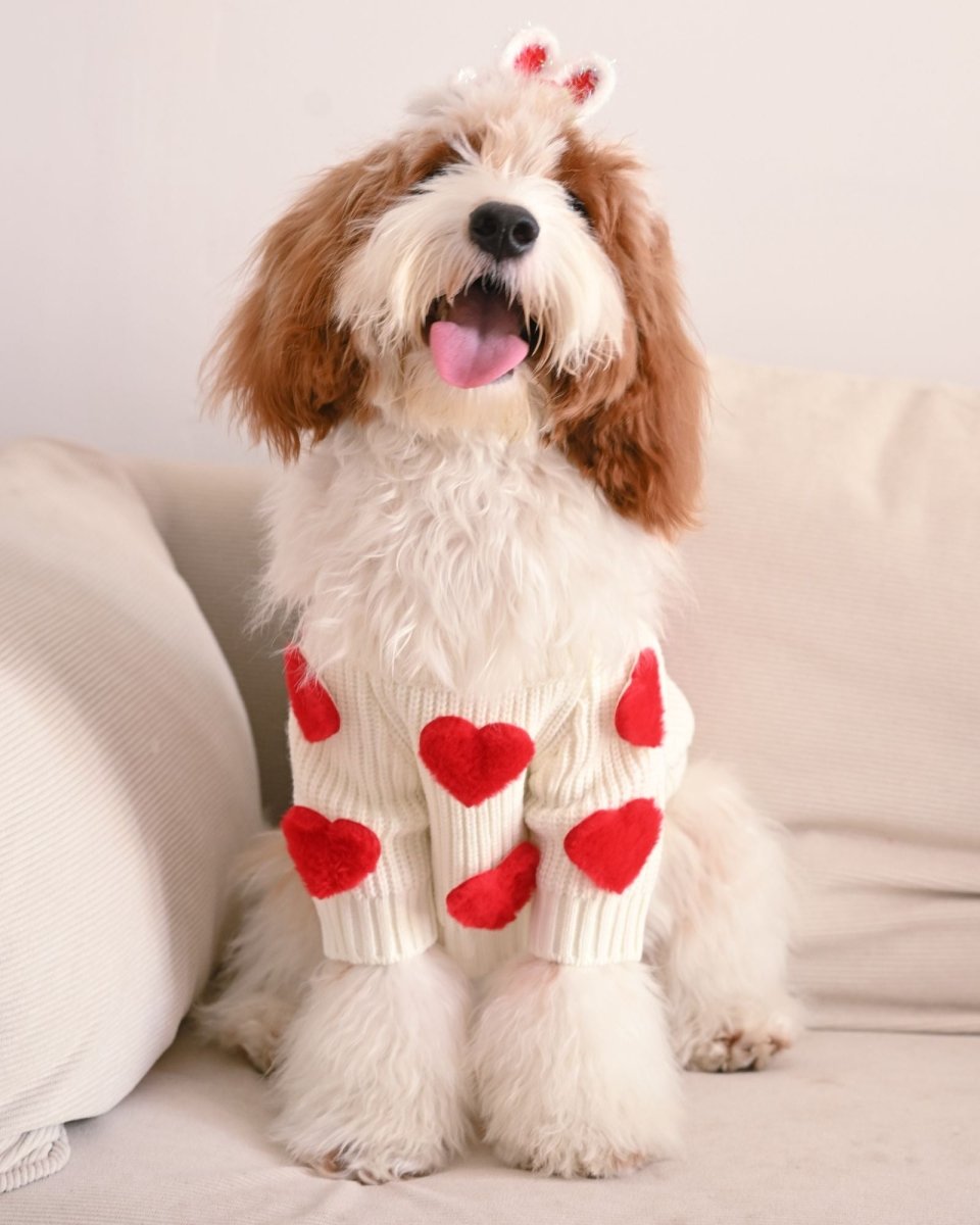Cream Heart - 3D Motif Pet Sweater - Merryreindeer
