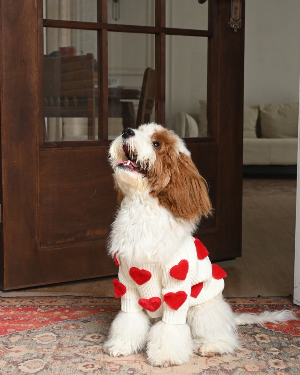 Cream Heart - 3D Motif Pet Sweater - Merryreindeer