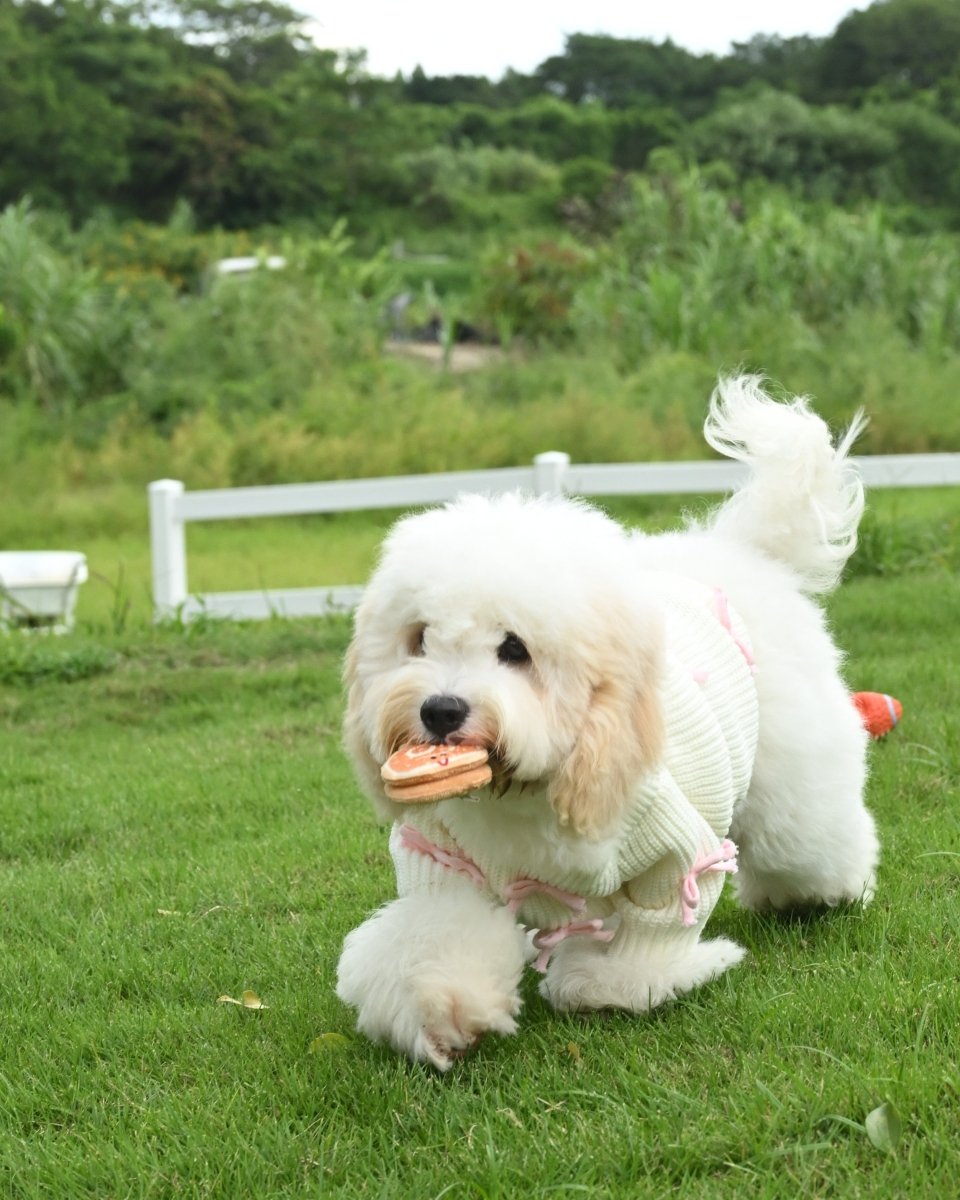 Pink Bow - 3D Motif Pet Sweater - Merryreindeer