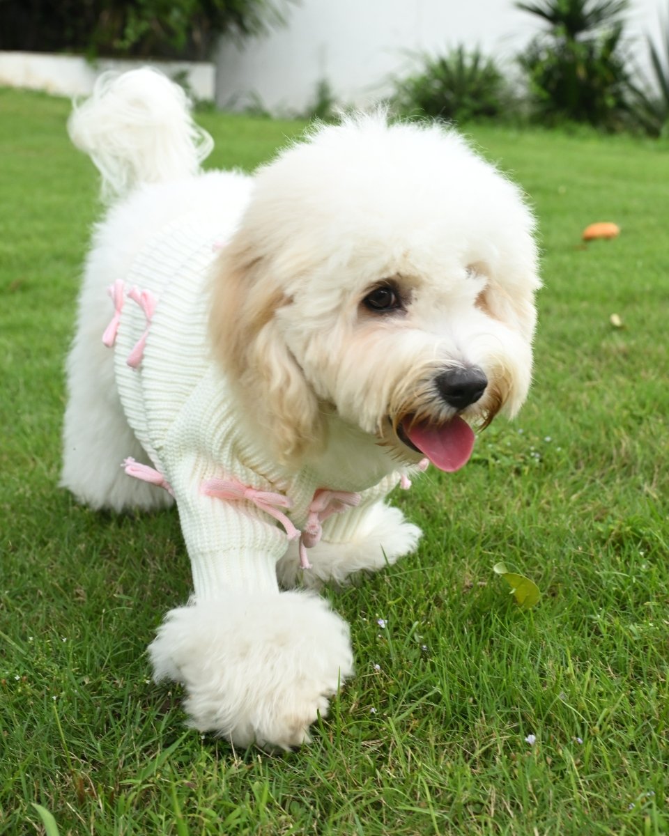 Pink Bow - 3D Motif Pet Sweater - Merryreindeer