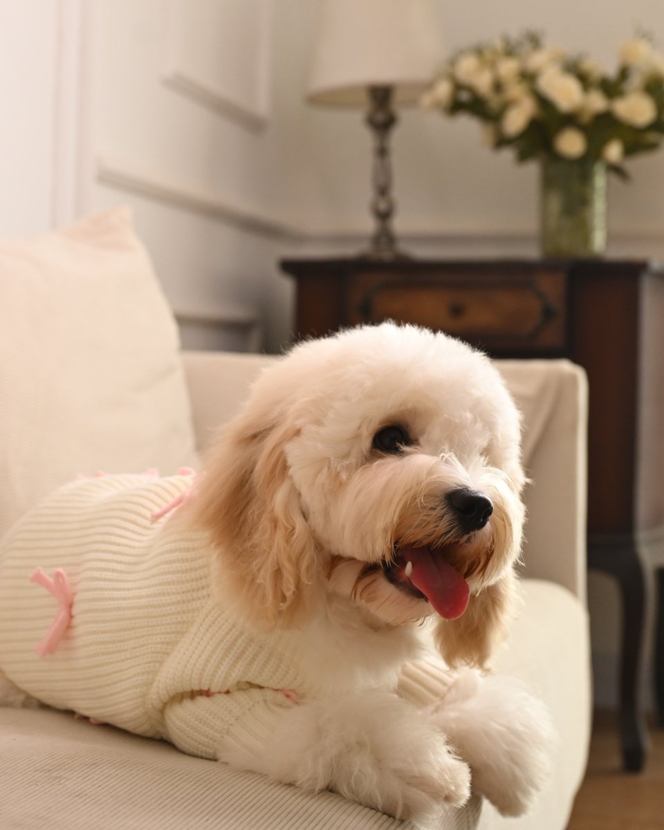 Pink Bow - 3D Motif Pet Sweater - Merryreindeer