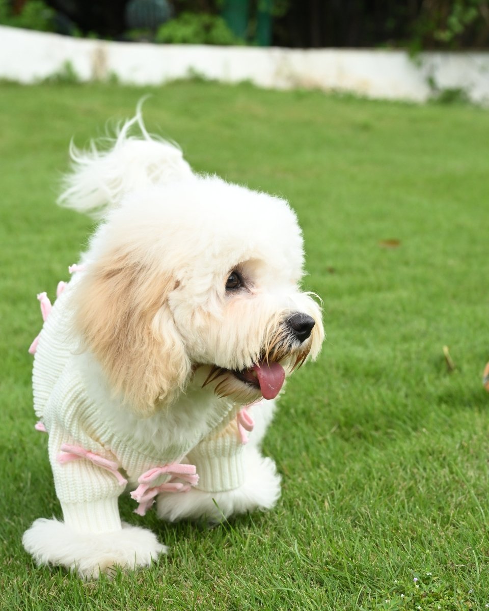 Pink Bow - 3D Motif Pet Sweater - Merryreindeer